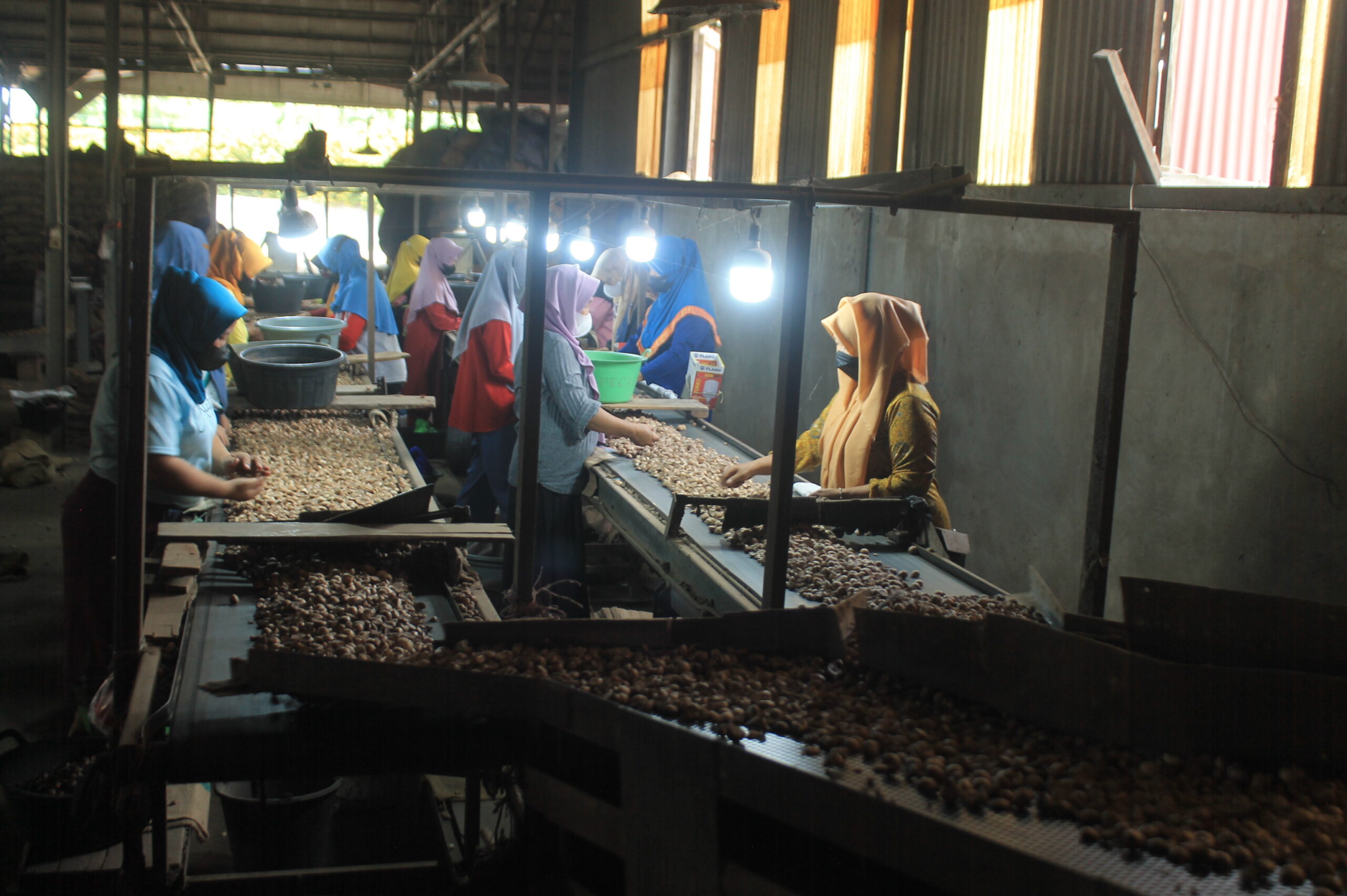 Indonesian agro export background