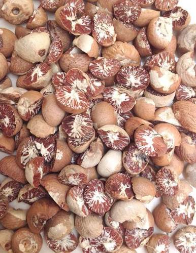Betel Nuts (Areca Nut)