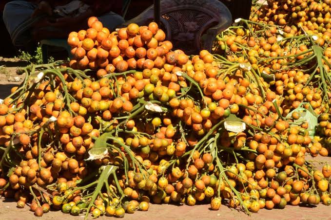 Betel Nuts (Areca Nut)