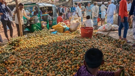 Betel Nuts (Areca Nut)
